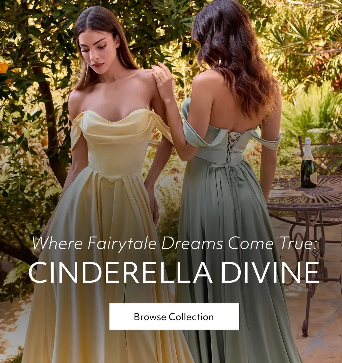 Cinderella Divine Banner for Mobile